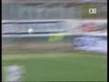 Golazo escorpion