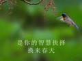 2008年的一场大选