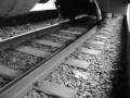 Siega - Advertecia