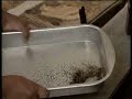 Farm to Market: Flowers (clips)