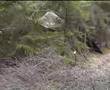 Mitt i naturen, mitt i Sverige: Skrotbilar i skogen!