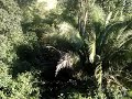 Tirolesa Piren�polis