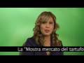 videos de noviembre español 9