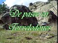 Paseo por Torrelodones
