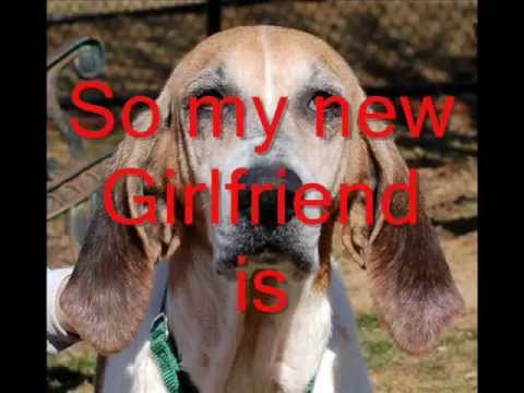 Coonhound classifieds