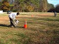 PATRON AT WORK