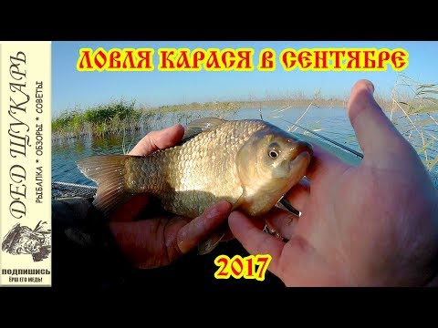 на что ловить карася в мае наживка на что ловить карася в мае наживка