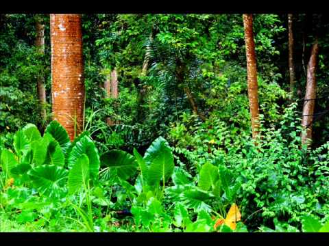 how to meditate amazon