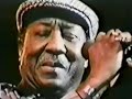Muddy Waters and