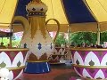TEACUPS!!!!!!