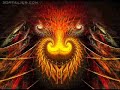 Terrence Mckenna