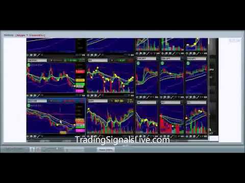 95 how to win in binary option live trades