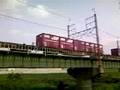 武蔵野線・EF64牽引コンテナ貨物列車
