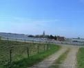 Bommelerwaard