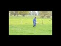 Putting up an Electric Fence