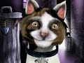 A bad meow in 2 seconds