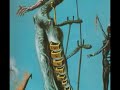 Salvador Dali Salvador Dali
