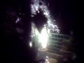 fireworks -Doggies watching