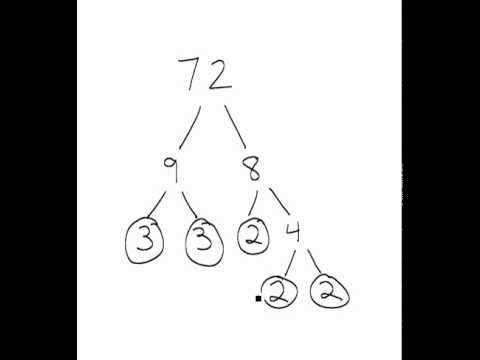 how to factor tree