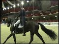 08 12 27 fei world cup diederik kur