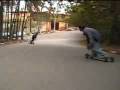 Carveboard (Carvin) Carveboard (Carvin)