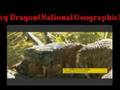Death by Dragon(National Geographic)P.W.C Pick