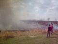 Brush Fire