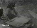 Highlights of Village Life 1920s Highlights of Village Life 1920s