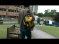 videos de A Day in the Life of a Molecular Biologist