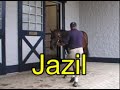 Invasor & Jazil retired race horses 2007