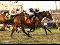 2011 Thoroughbred In Memoriam