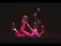 IAI Presentations The Peking Acrobats