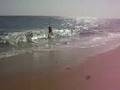 skim