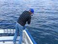 Mike Allen pulls in a 7 gill Shark