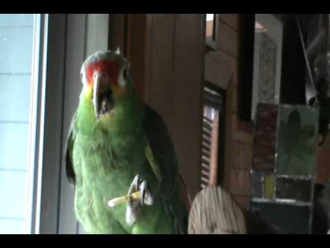 See video