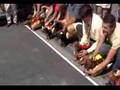 Running of the Wieners - Wiener Dog Race