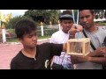 Connect@Laos\