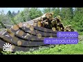 Biomass: an introduction