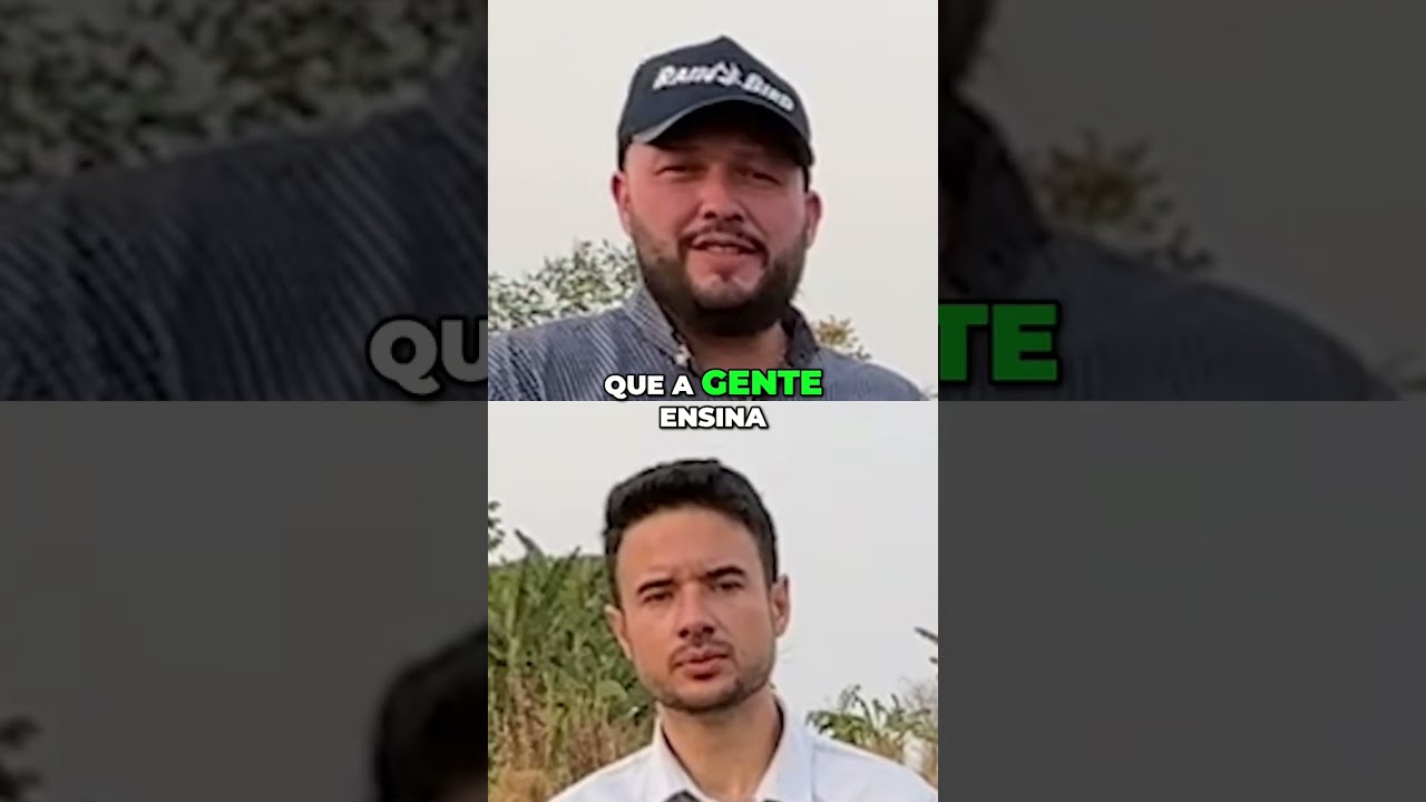 Como Produzir Mesmo Sem Terra  Dicas Práticas