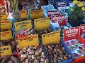Palluruthy pulavanibham-City Time Jan 13, Part 2