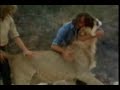 Christian the lion - version original en Espa�ol