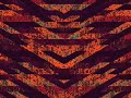 le projet METAMORPHOSIS