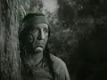 los tres chiflados   retorno a los bosques parte 2