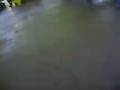 videos de me and shamii!
