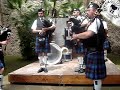 City of Rome Pipe Band Steam Train to Mallaig Ravello City of Rome Pipe Band Steam Train to Mallaig Ravello