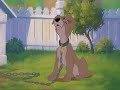 Se que dije que el anterior video seria el ultimo en Movie Maker, pero consegui un adorage que le da mas efectos al WMM ^^ Asi que decididi que mis videos con peliculas como Spirit, Balto, La dama y el vagabundo entre otras, las hare con el adorage ^^Este es mi primer video con mis nuevs producciones llamada 