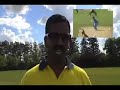 WILBUR-CRICKET REPORT