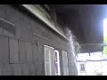 Cumming On Pigeons Season 2 Episode 1