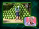Duvide-ó-dó - TV Xuxa - 06.09.08