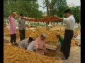 Pergi Tak Kembali (2/2) Pergi Tak Kembali (2/2)